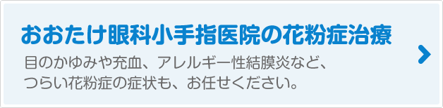 花粉症の治療について